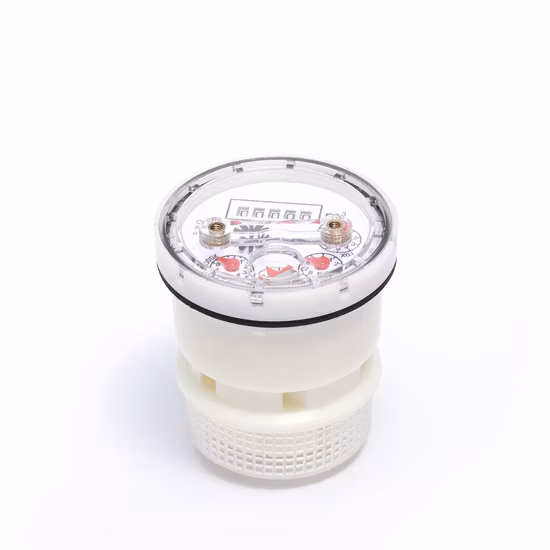 Compteur d'eau sec multijet R160 avec AMR (NX